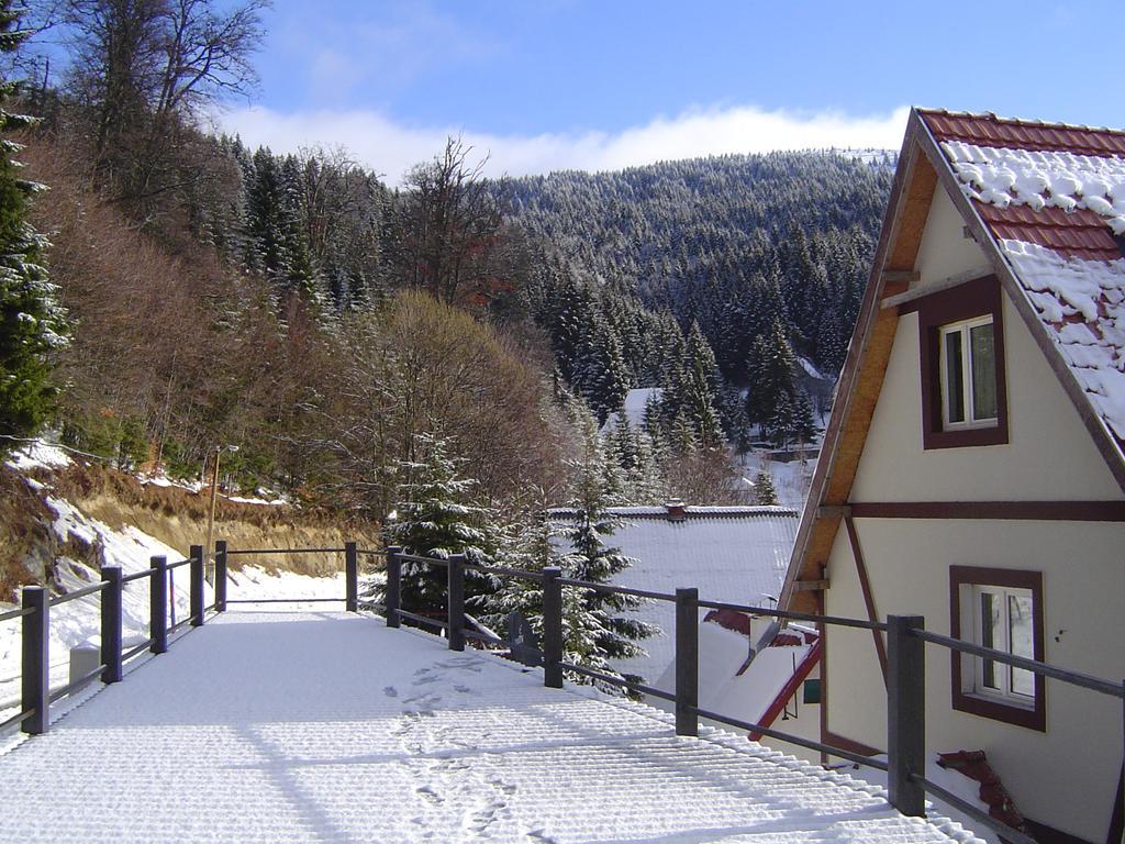 Sirius Club Kopaonik Hotell Exteriör bild